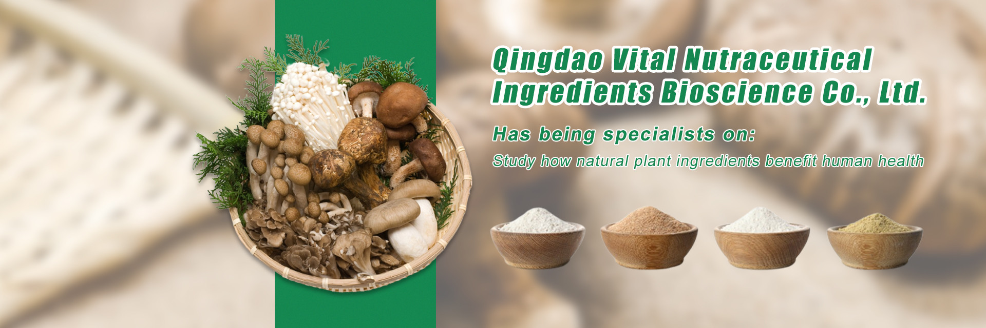 kwaliteit Planten- en kruidenextract fabriek